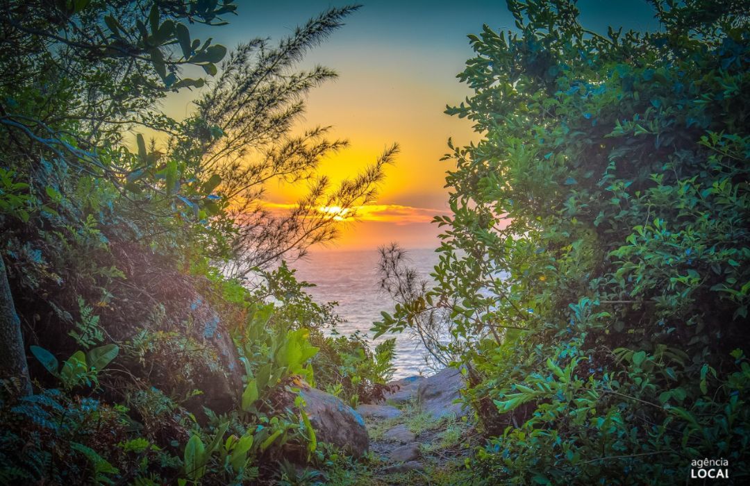 Pôr do sol dourado